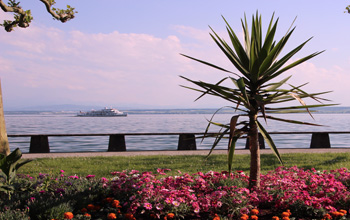 Bodensee